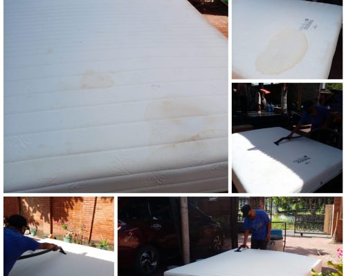 WhatsApp Image 2025-07-22 at 08.35.53_95236924